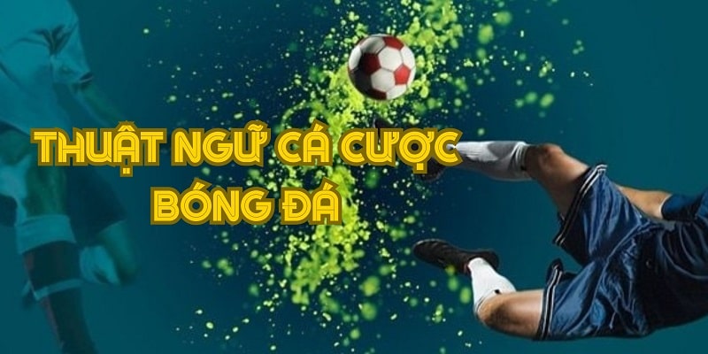 Thuật ngữ cá cược bóng đá được cộng đồng bet thủ sử dụng rộng rãi