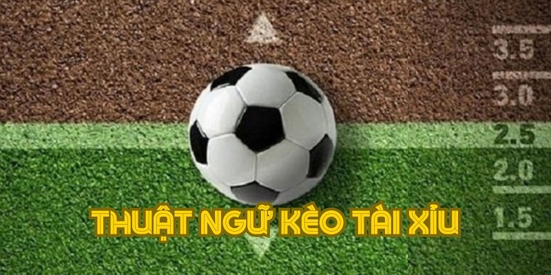 Thuật ngữ không thể bỏ qua khi chơi kèo Tài Xỉu bóng đá
